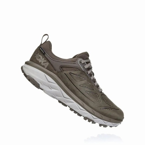 Hoka One One CHALLENGER LOW GORE-TEX Hiking Shoes For Women India Grey IN-2651